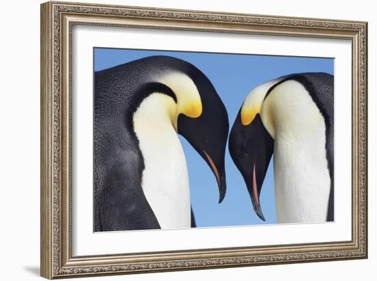 In Conversation-Frank Krahmer-Framed Giclee Print