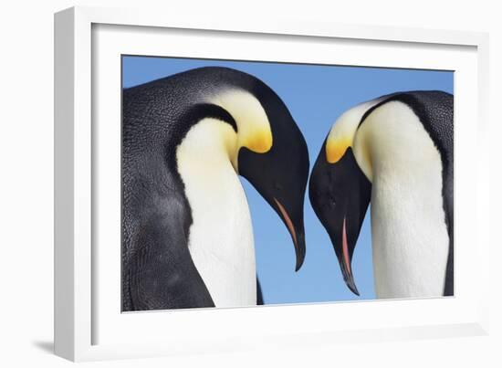 In Conversation-Frank Krahmer-Framed Giclee Print