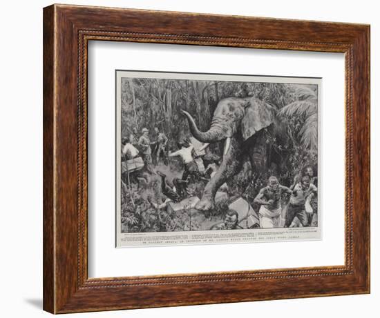In Darkest Africa, an Incident of Mr Lloyd's March Through the Great Pygmy Forest-Frank Dadd-Framed Giclee Print