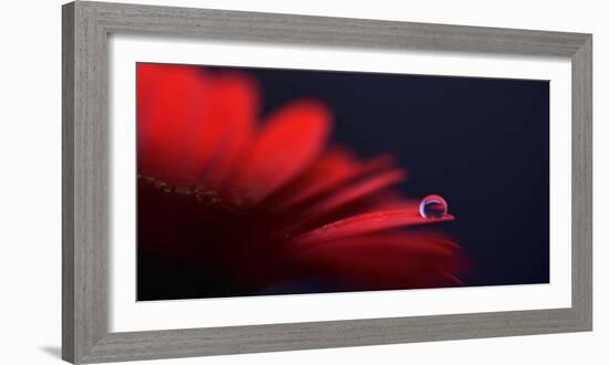 In Darkness-Heidi Westum-Framed Photographic Print