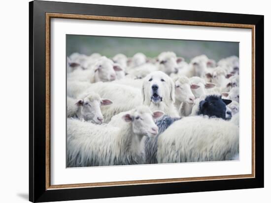 In Disguise-Adrian Popan-Framed Giclee Print