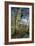 In Early Spring: a Study in March-John William Inchbold-Framed Giclee Print
