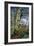 In Early Spring: a Study in March-John William Inchbold-Framed Giclee Print