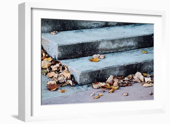 In Fall-Ursula Abresch-Framed Photographic Print