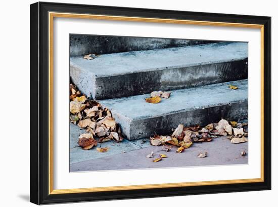 In Fall-Ursula Abresch-Framed Photographic Print