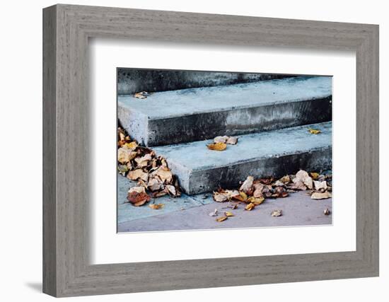 In Fall-Ursula Abresch-Framed Photographic Print