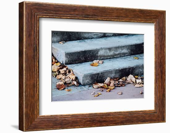 In Fall-Ursula Abresch-Framed Photographic Print