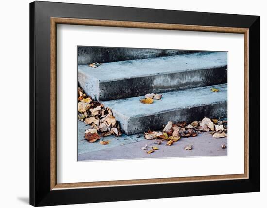 In Fall-Ursula Abresch-Framed Photographic Print