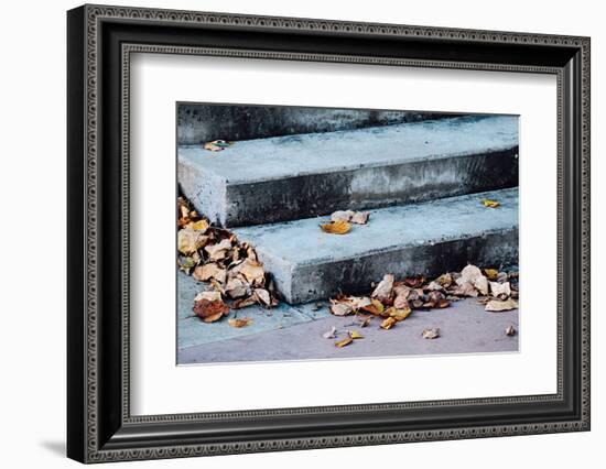 In Fall-Ursula Abresch-Framed Photographic Print