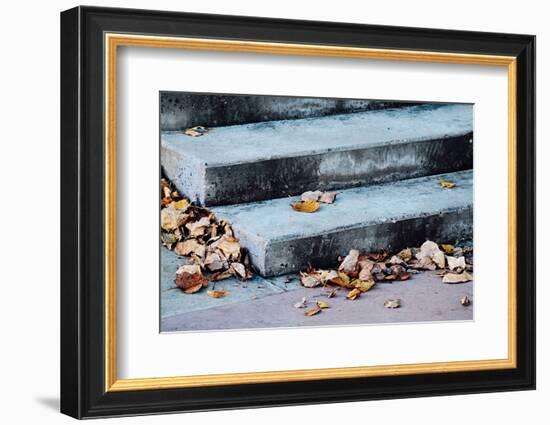 In Fall-Ursula Abresch-Framed Photographic Print