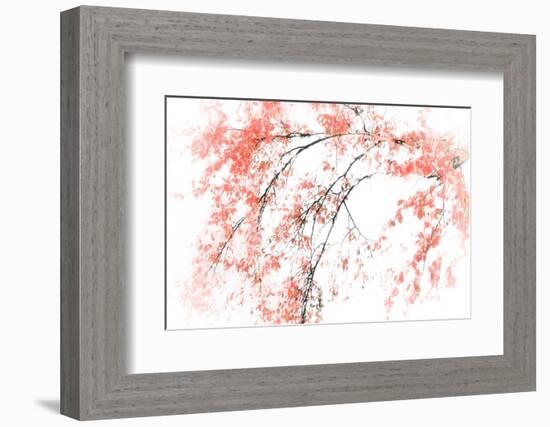 In Fall-Ursula Abresch-Framed Photographic Print