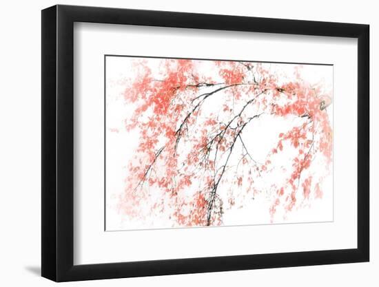 In Fall-Ursula Abresch-Framed Photographic Print