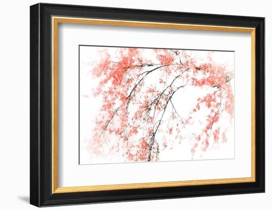 In Fall-Ursula Abresch-Framed Photographic Print