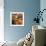 In First Rays-Marcin Sobas-Framed Photographic Print displayed on a wall