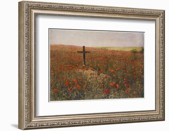 In Flanders Fields-null-Framed Photographic Print