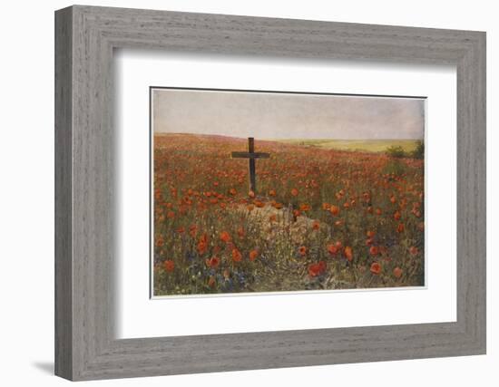 In Flanders Fields-null-Framed Photographic Print