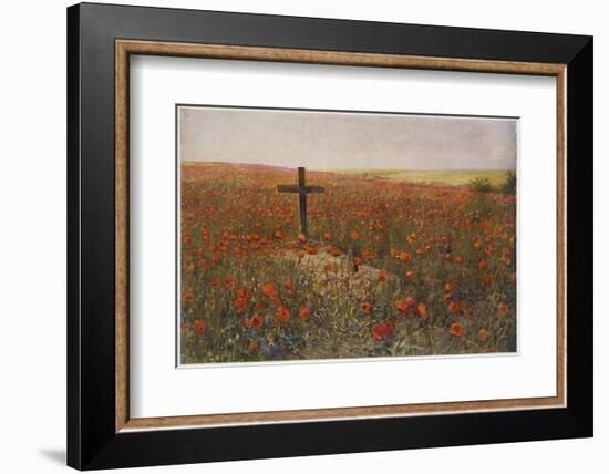 In Flanders Fields-null-Framed Photographic Print