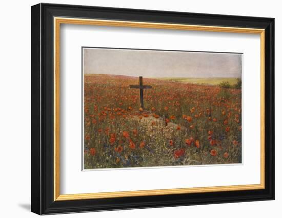 In Flanders Fields-null-Framed Photographic Print