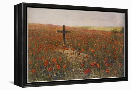 In Flanders Fields-null-Framed Premier Image Canvas