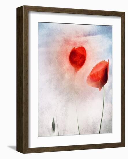 In Flanders Fields-Gilbert Claes-Framed Giclee Print