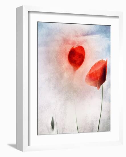 In Flanders Fields-Gilbert Claes-Framed Giclee Print