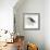 In Flight - Glide-Wink Gaines-Framed Giclee Print displayed on a wall