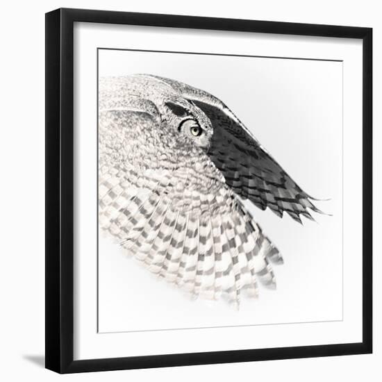 In Flight - Glide-Wink Gaines-Framed Giclee Print