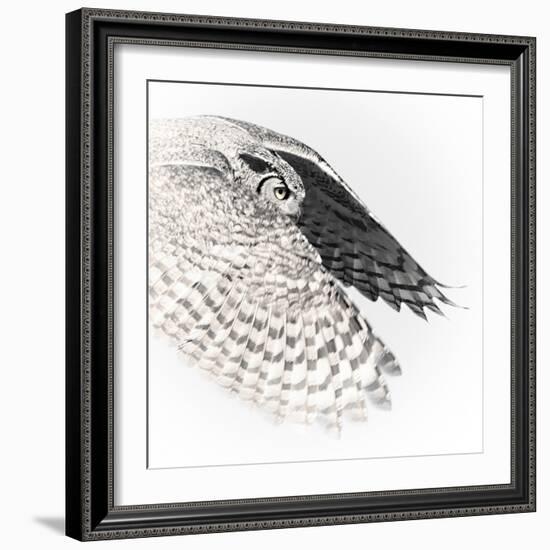 In Flight - Glide-Wink Gaines-Framed Giclee Print