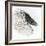 In Flight - Glide-Wink Gaines-Framed Giclee Print