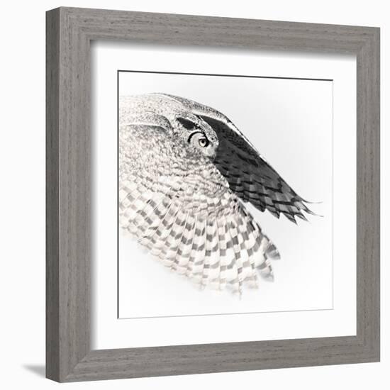 In Flight - Glide-Wink Gaines-Framed Giclee Print