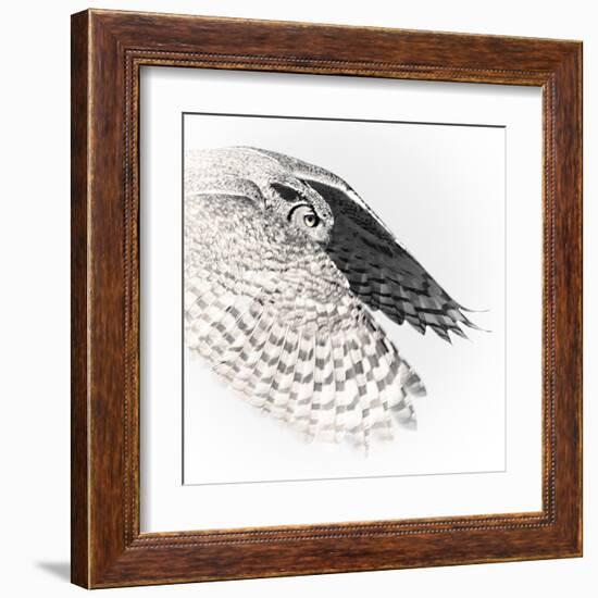 In Flight - Glide-Wink Gaines-Framed Giclee Print