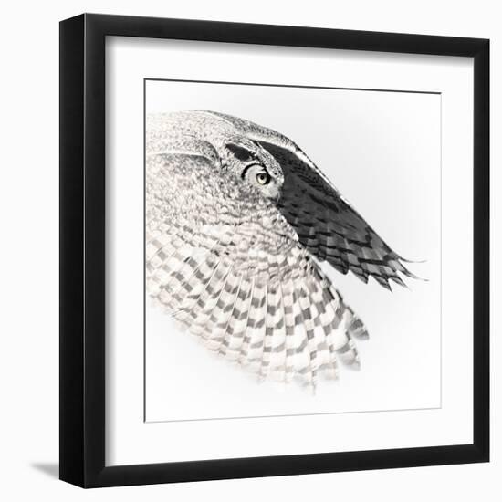 In Flight - Glide-Wink Gaines-Framed Giclee Print