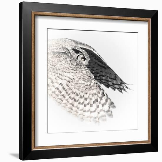 In Flight - Glide-Wink Gaines-Framed Giclee Print