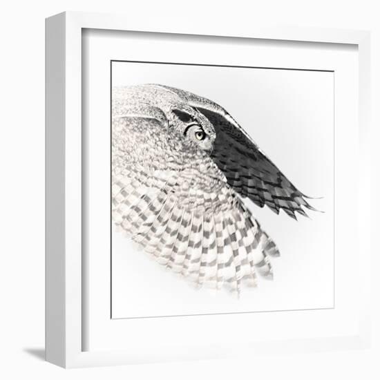 In Flight - Glide-Wink Gaines-Framed Giclee Print