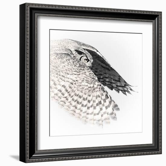 In Flight - Glide-Wink Gaines-Framed Giclee Print