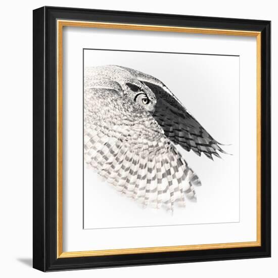 In Flight - Glide-Wink Gaines-Framed Giclee Print