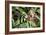 In Flight I-Larry Malvin-Framed Photographic Print