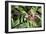 In Flight I-Larry Malvin-Framed Photographic Print