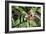 In Flight I-Larry Malvin-Framed Photographic Print