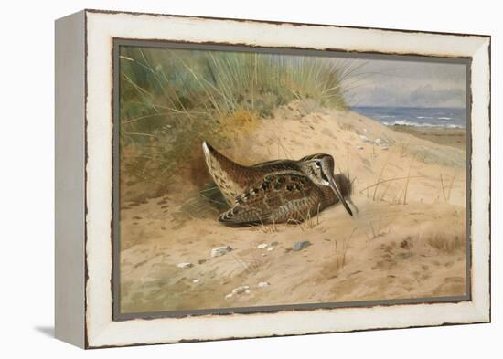 In from the North Sea, 1898-Archibald Thorburn-Framed Premier Image Canvas