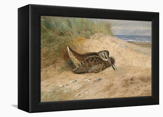 In from the North Sea, 1898-Archibald Thorburn-Framed Premier Image Canvas