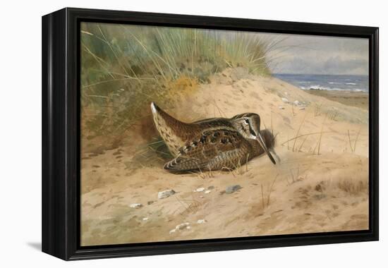 In from the North Sea, 1898-Archibald Thorburn-Framed Premier Image Canvas