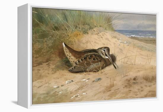 In from the North Sea, 1898-Archibald Thorburn-Framed Premier Image Canvas
