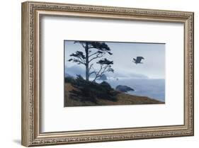 In From the Storm-Terry Isaac-Framed Art Print