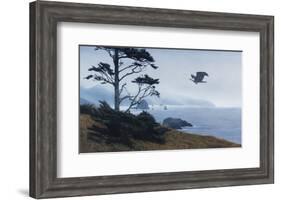 In From the Storm-Terry Isaac-Framed Art Print