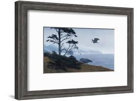 In From the Storm-Terry Isaac-Framed Art Print
