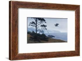 In From the Storm-Terry Isaac-Framed Art Print