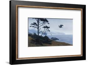 In From the Storm-Terry Isaac-Framed Art Print