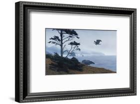 In From the Storm-Terry Isaac-Framed Art Print