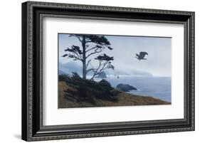 In From the Storm-Terry Isaac-Framed Art Print